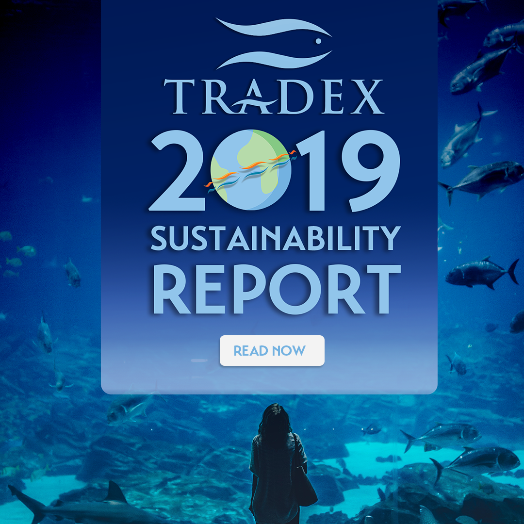 2019 Sustainability Report