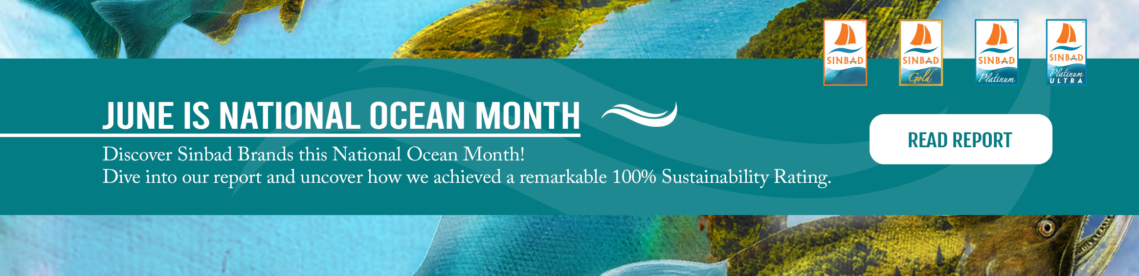 JUNE IS NATIONAL OCEAN MONTH - DISCOVER SINBAD BRANDS 100% SUSTAINABILITY RATING!