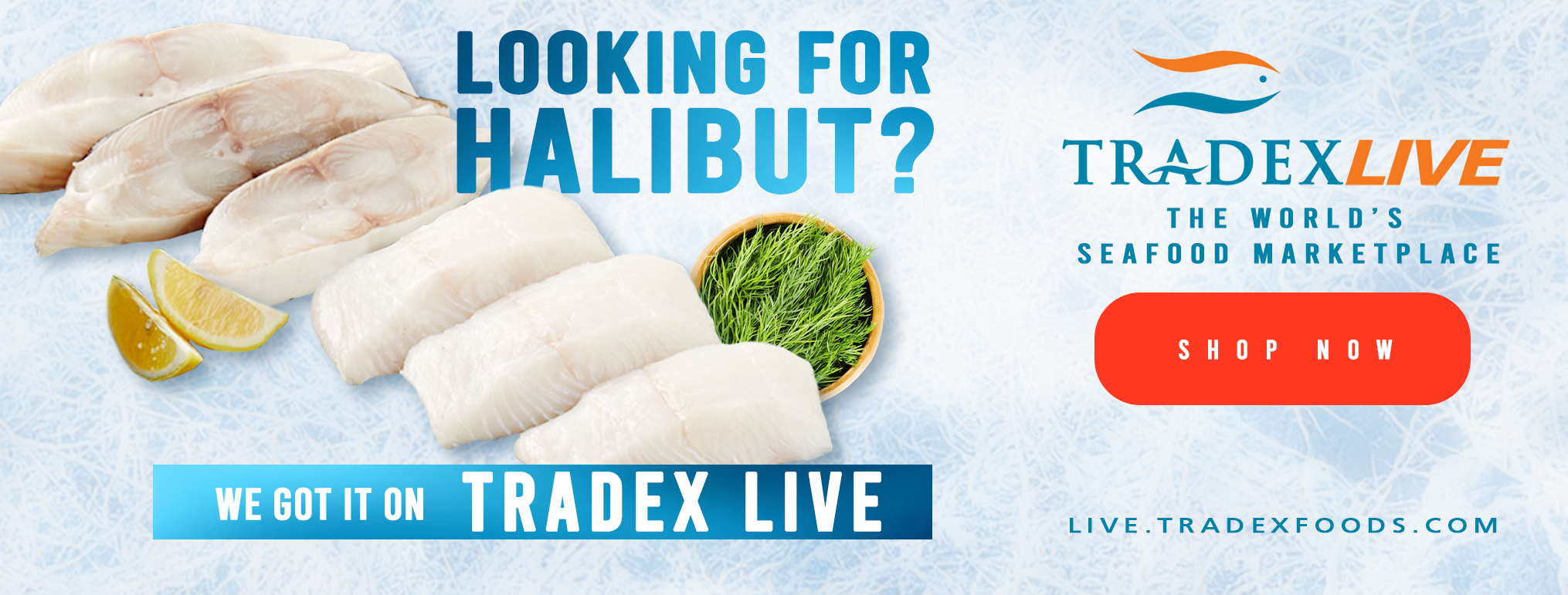 WE GOT HALIBUT ON TRADEXLIVE!