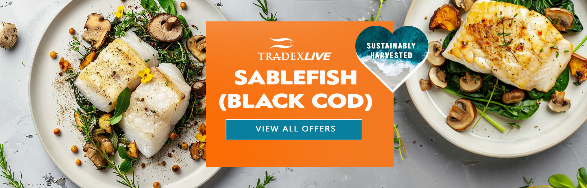 VIEW ALL BLACK COD OFFERS ON TRADEXLIVE