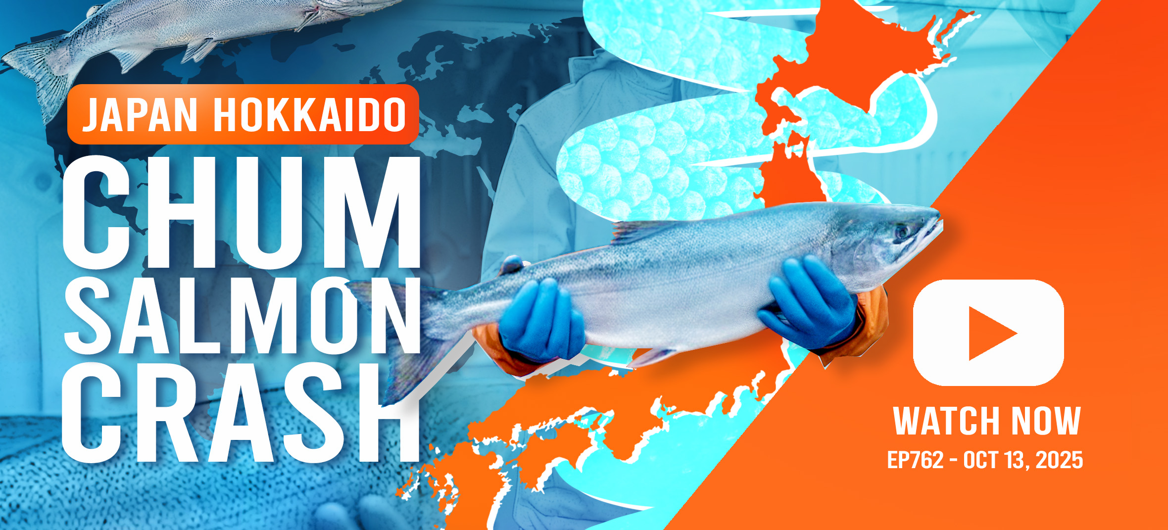 3MMI - Global Chum Salmon Supply Tightens as Japan