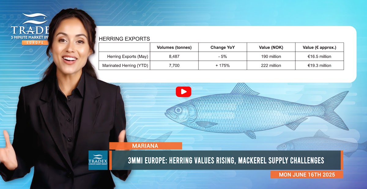 Herring on the Rise, Mackerel Sustainability and Supply Pressures