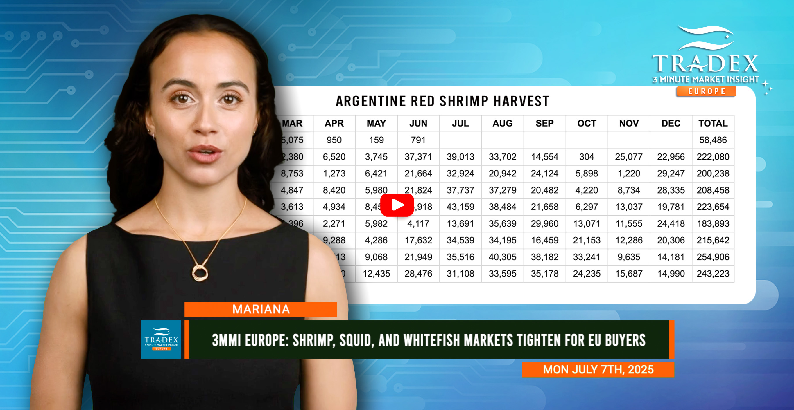 3MMI EUROPE: Shrimp, Squid, and Whitefish Markets Tighten for EU Buyers