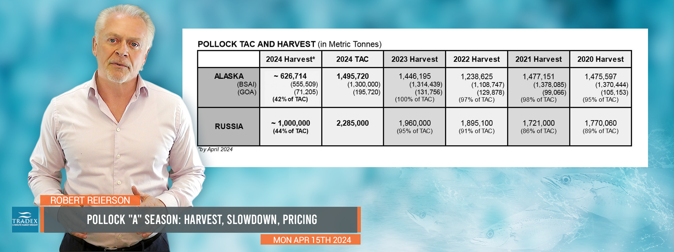 Alaska A Season Pollock Update