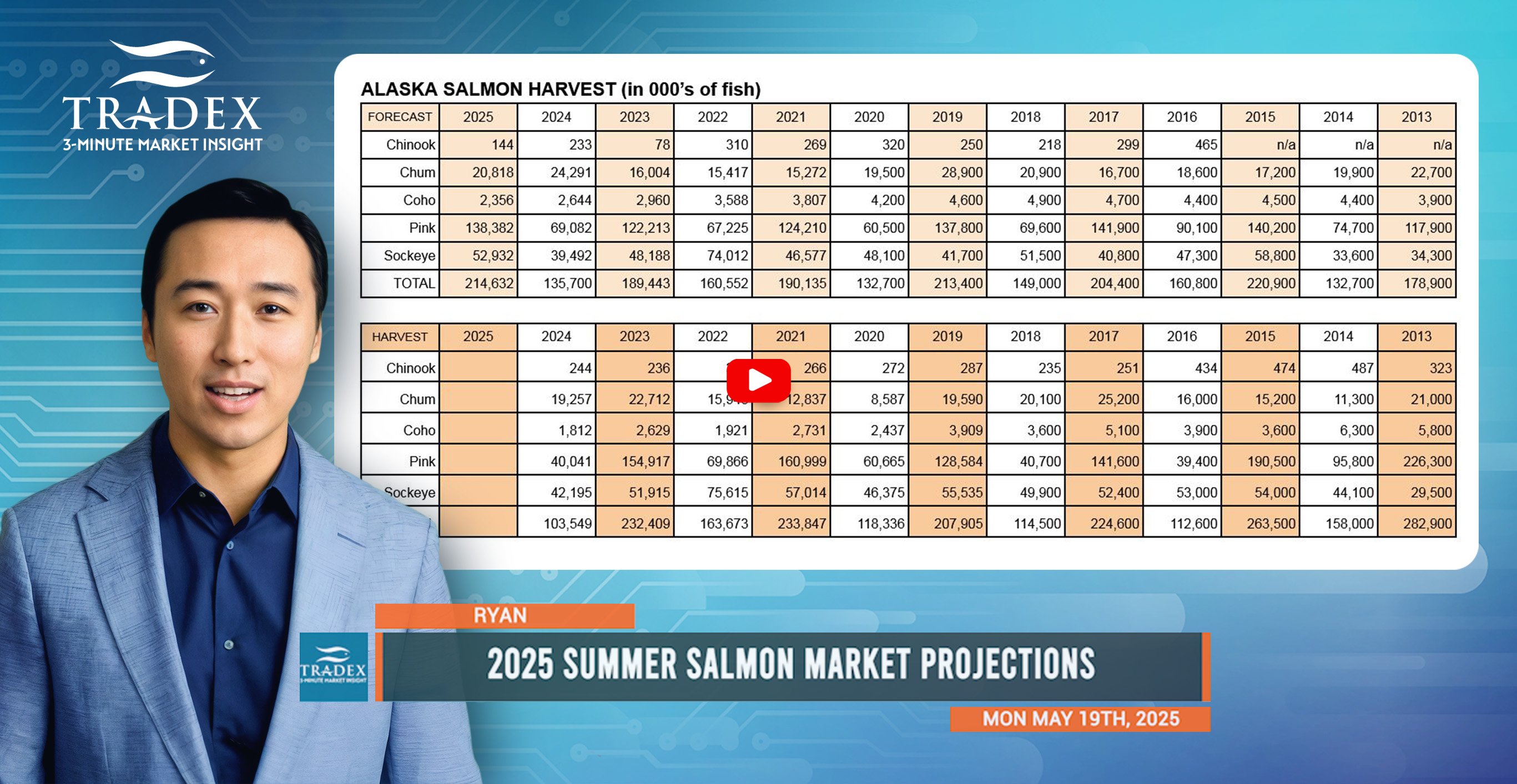 Salmon Update