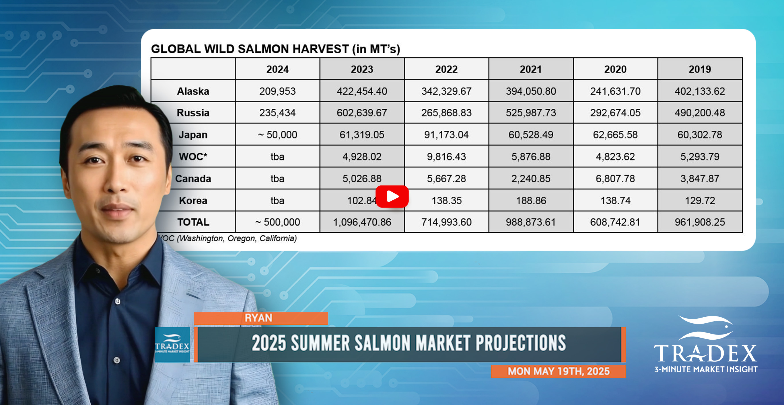Salmon Update