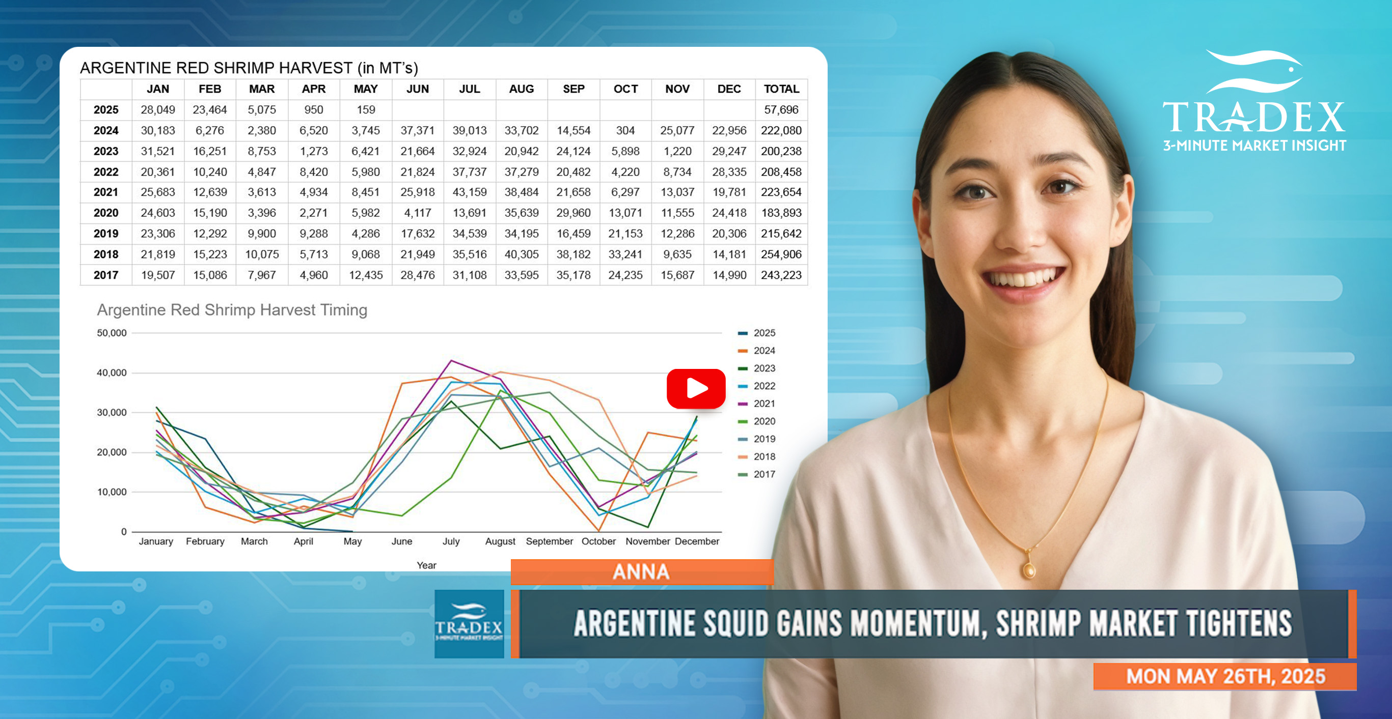 Argentine Illex Squid & Shrimp Update