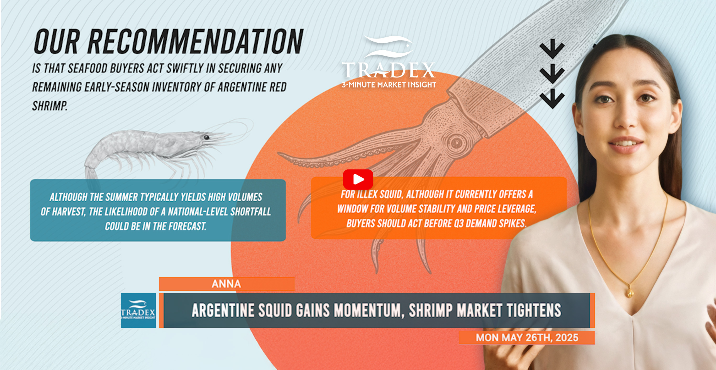Argentine Illex Squid & Shrimp Update