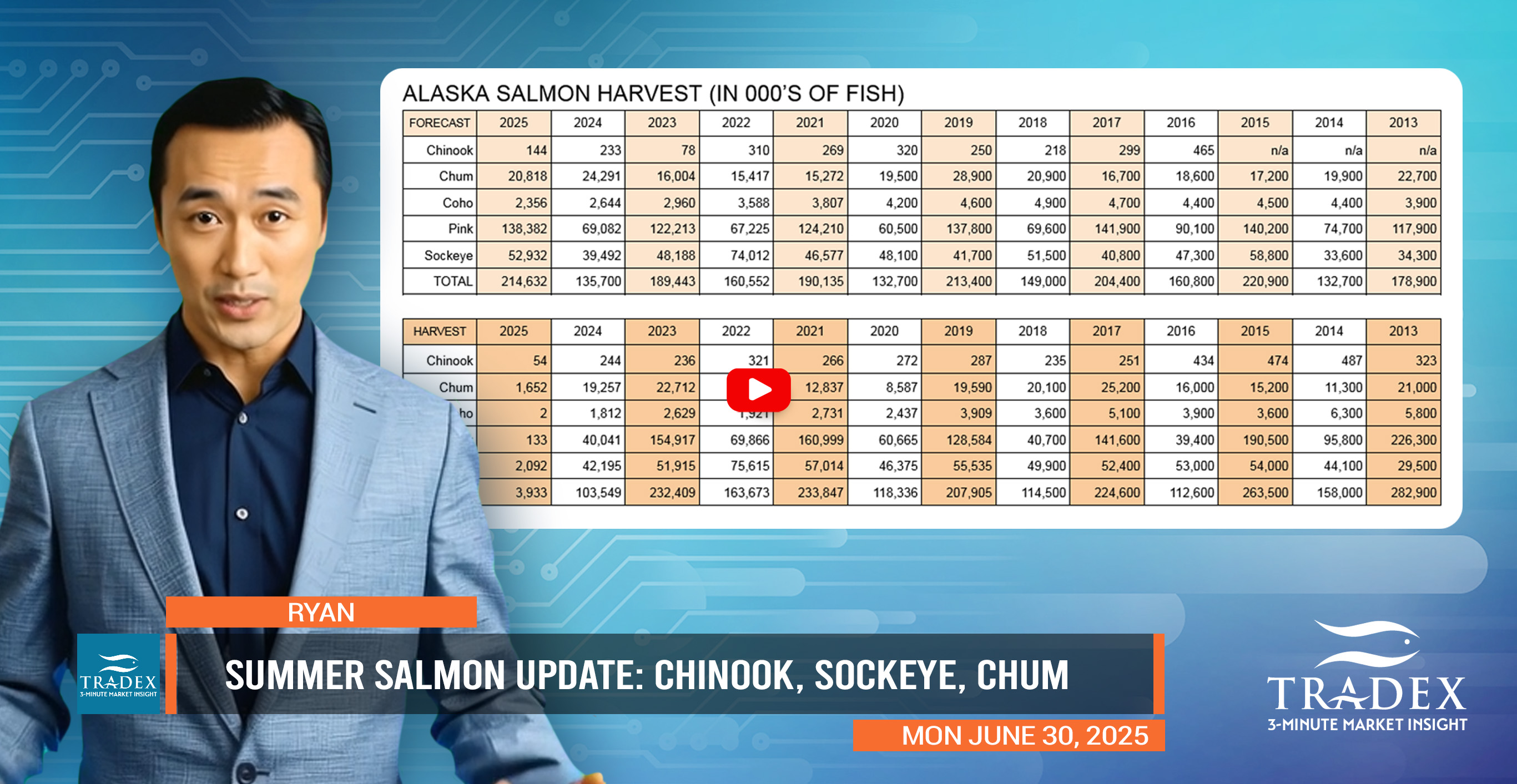 Early Season Summer Salmon Update