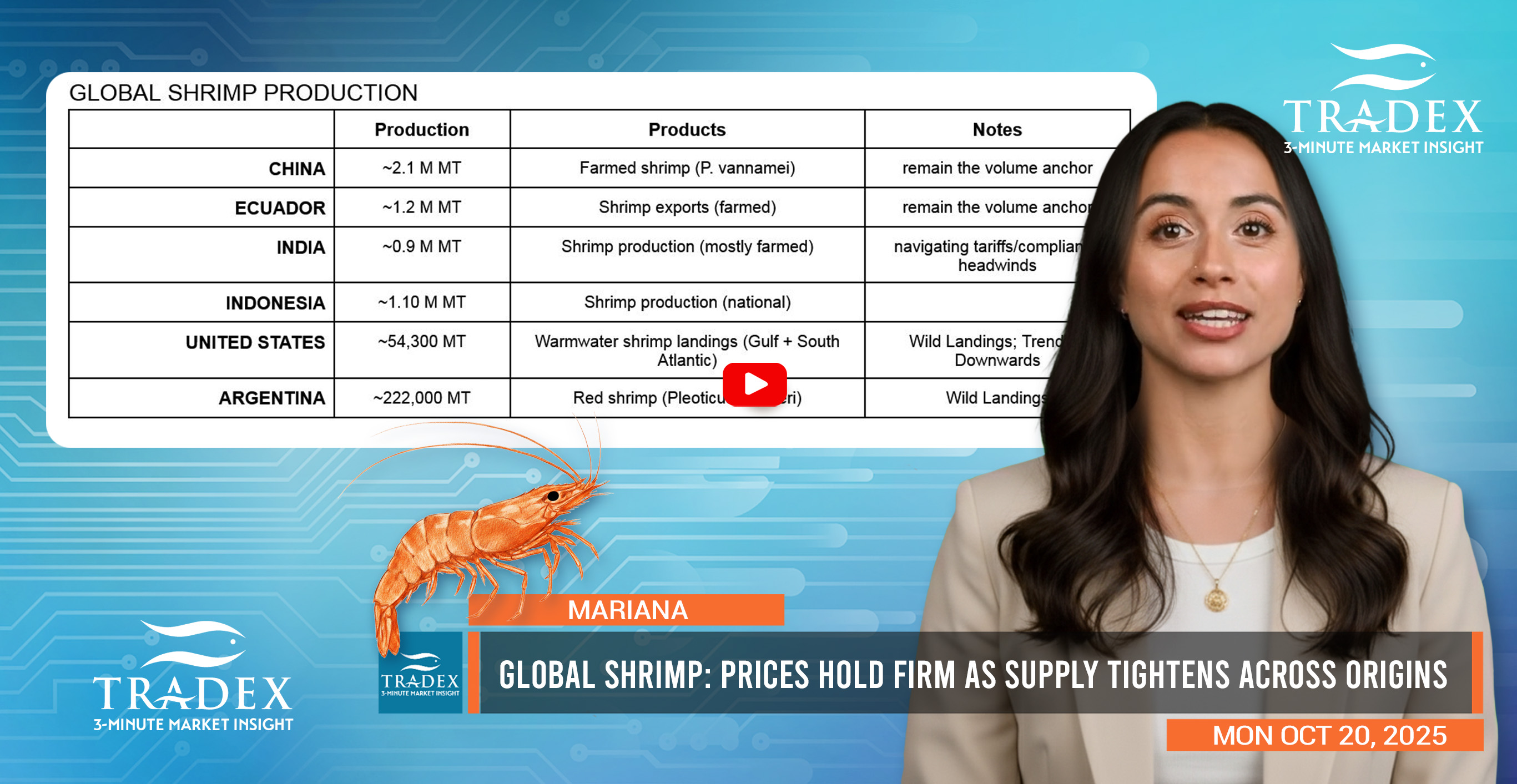 Global Shrimp Market Update