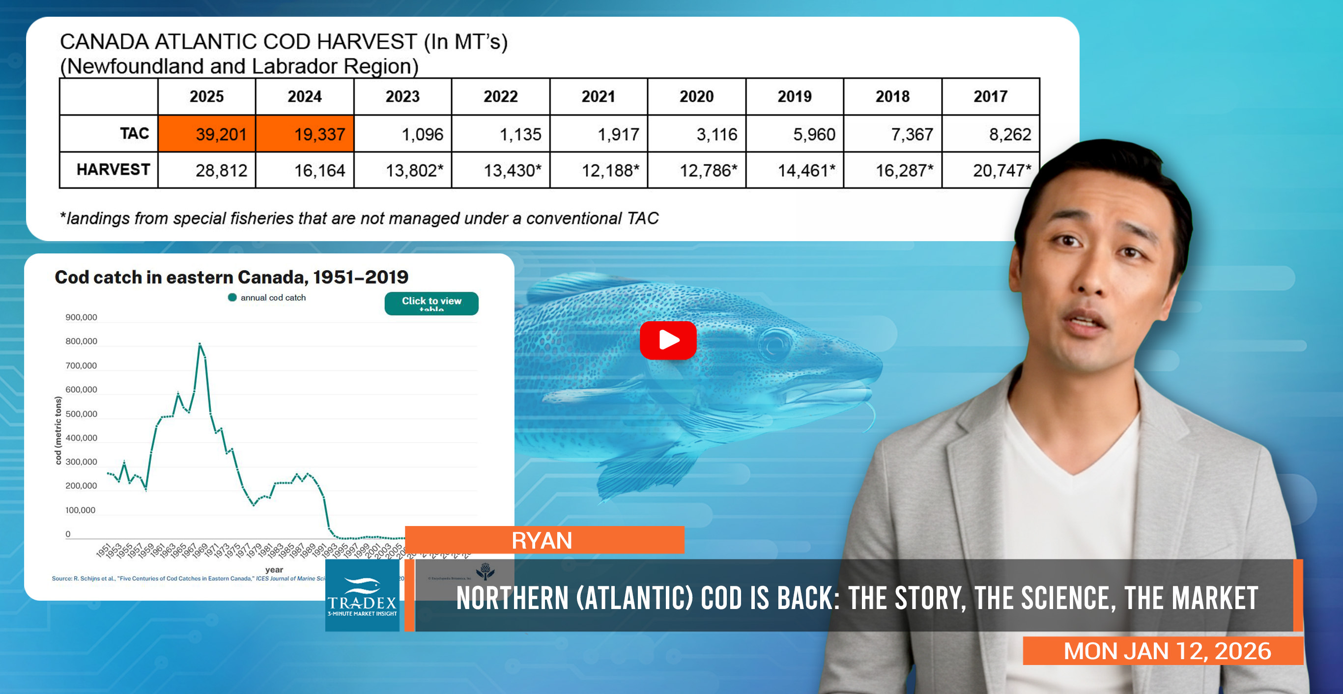 Northern (Atlantic) Cod Is Back: The Story, The Science, The Market
